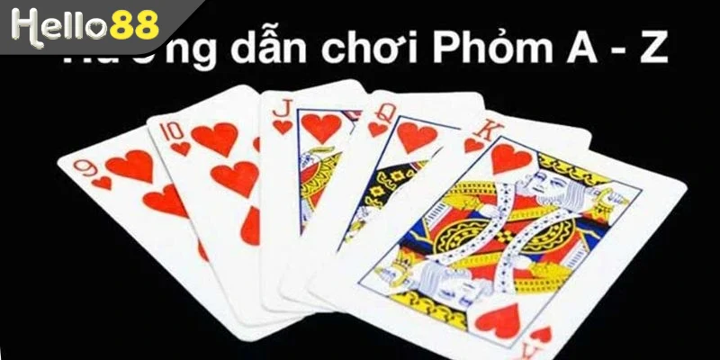 Những thuật ngữ thường gặp